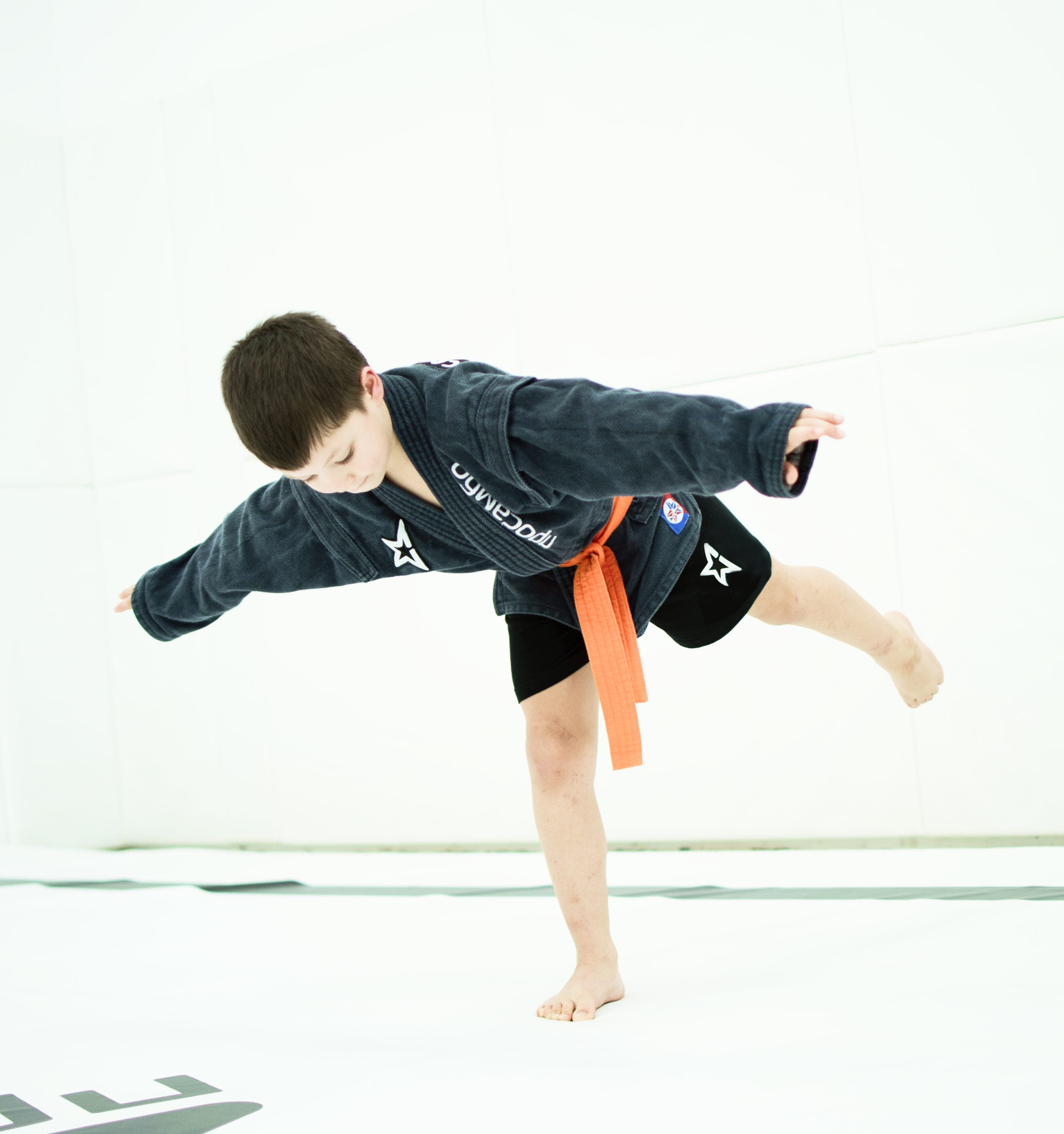 Тренировка самбо